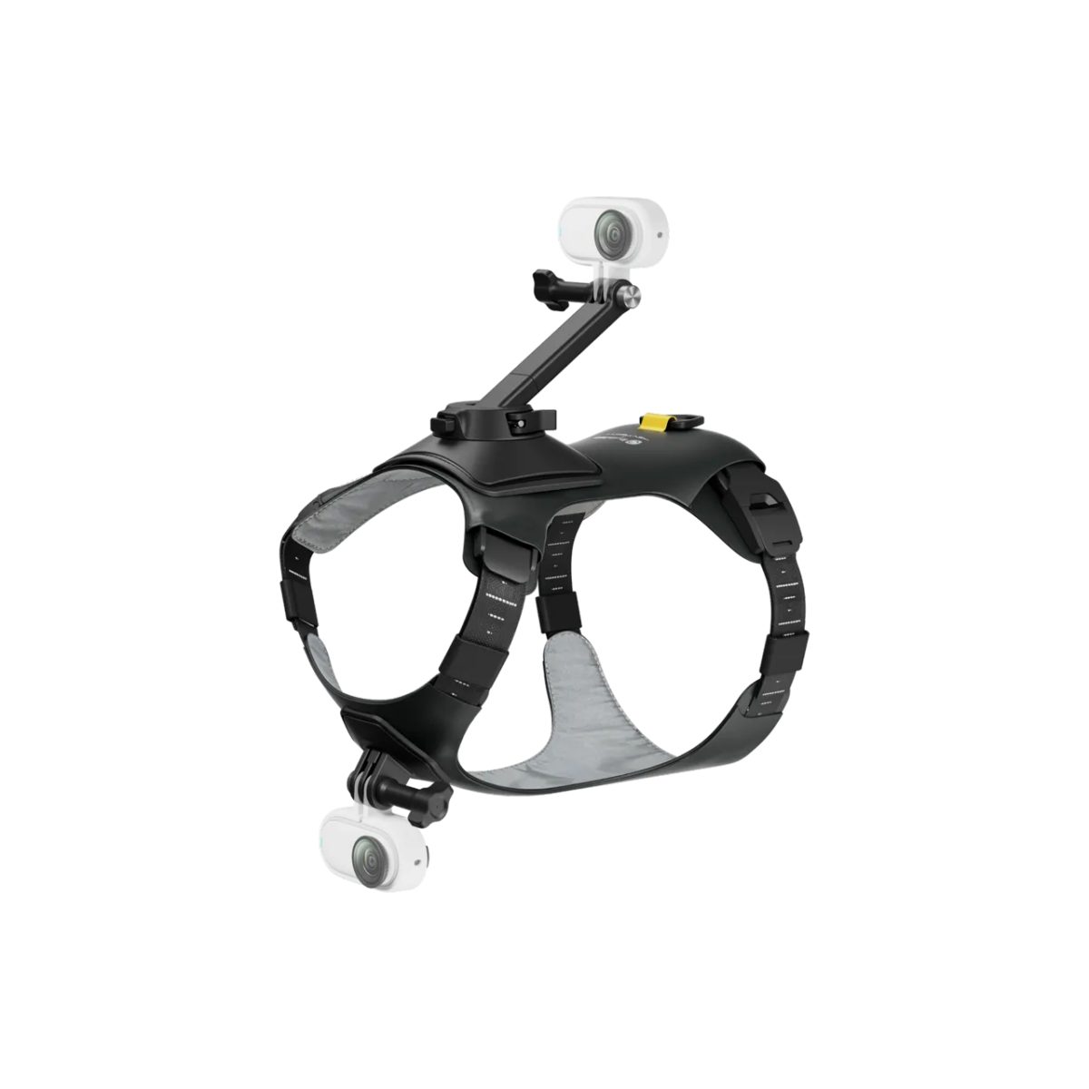 Insta360 Go 3/Go 3S Pet Harness Mount Size S - Image 2