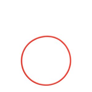 Olympus POL-058 O-ring for PT-058 / PT-059