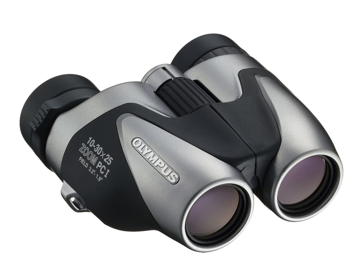 Olympus 10-30X25 ZOOM PC I SILVER Binoculars