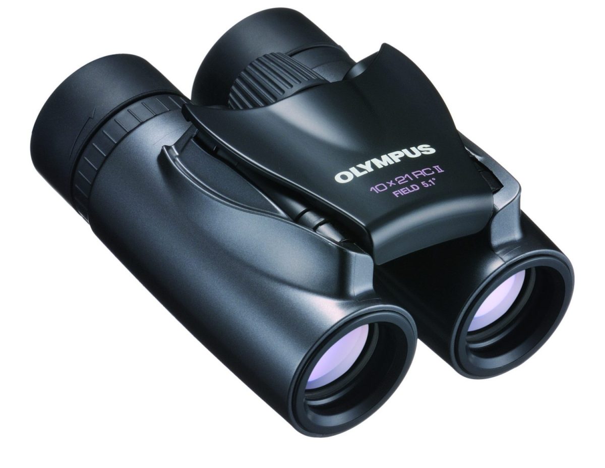 Olympus 10X21 RC II DARK SILVER Binoculars - Image 2