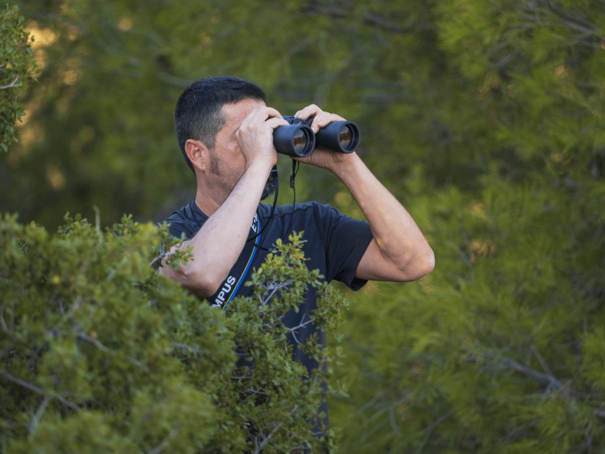 Olympus Binoculars 8-16x40 S incl. Case & Strap - Image 4