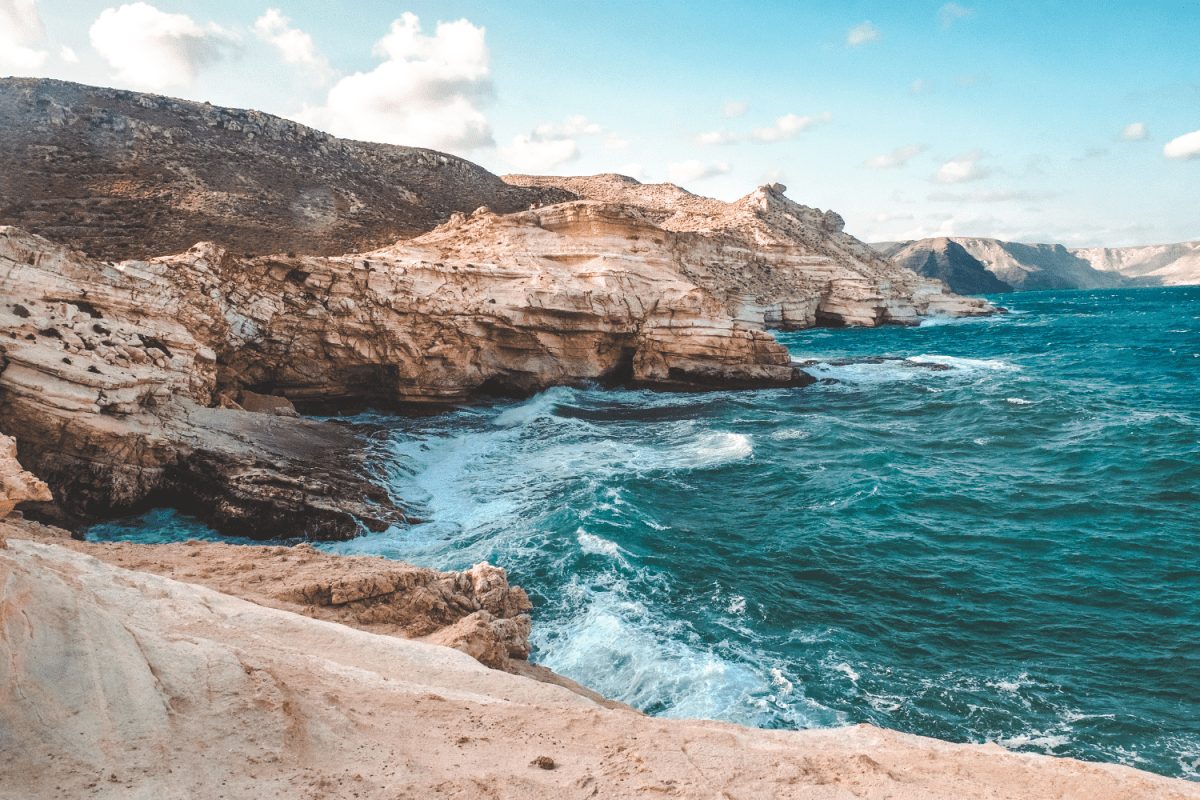 Olympus M.Zuiko Digital ED 12-200mm F3.5-6.3 black - Image 10