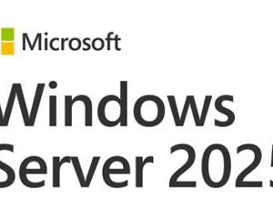 Microsoft Windows Server 2025 Client Access License (CAL) 5 Users DSP