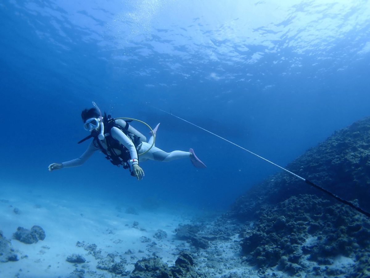 Olympus FCON-T02 Fish Eye Converter for TG-1/2/3/4/5/6 - Image 6