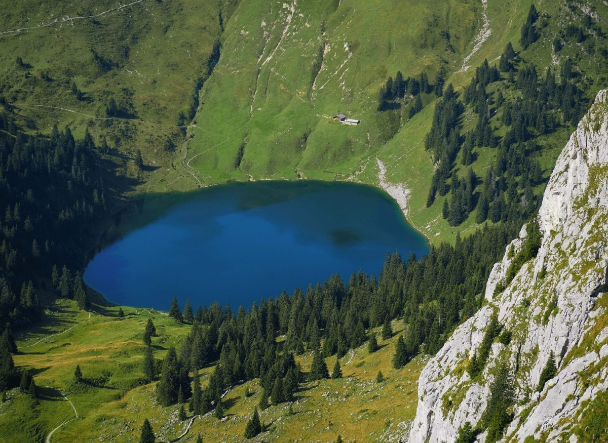 Olympus OM System M.Zuiko Digital ED 40-150mm F4.0-5.6 R / EZ-M4015 R silver - Image 4